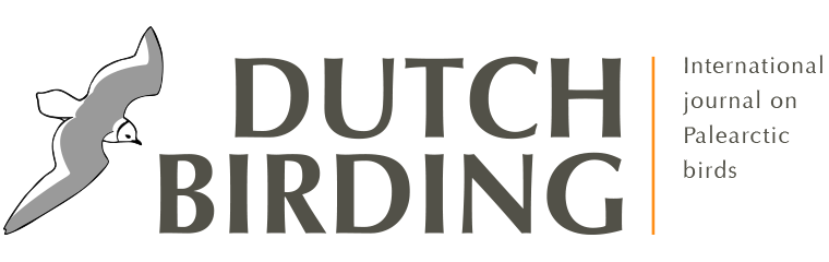 Dutch Birding